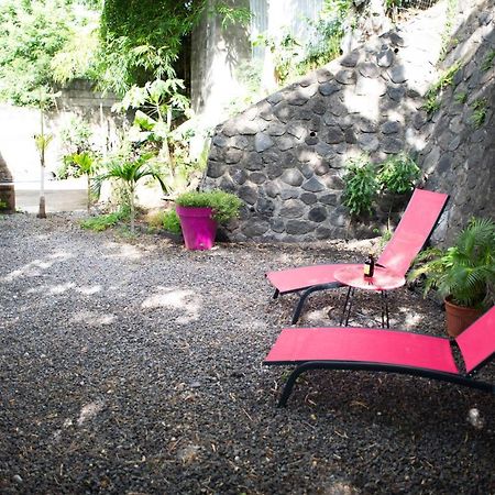 Le Bambou T3 Centre Ville Sainte Clotilde Rez De Jardin Bois de Nefles  Eksteriør bilde