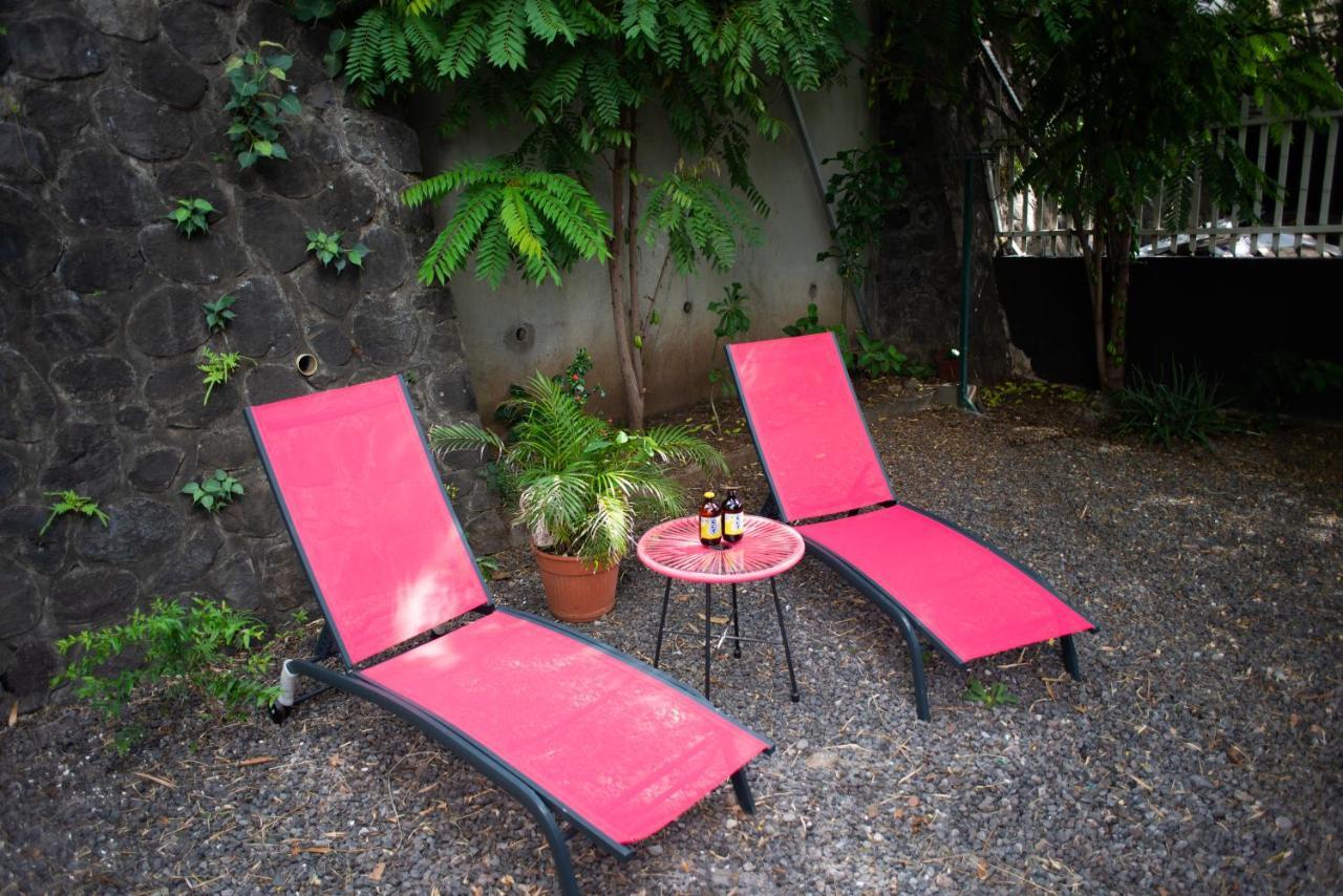 Le Bambou T3 Centre Ville Sainte Clotilde Rez De Jardin Bois de Nefles  Eksteriør bilde